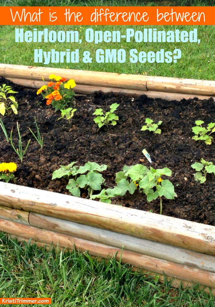 What Is The Difference Between Heirloom, Open-Pollinated, Hybrid And ...