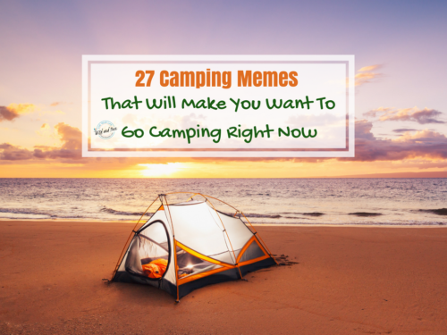 27 Camping Memes that will make you want to go camping right now