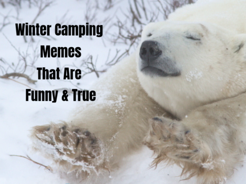 Winter Camping Memes that are Funny & True #wintercamping #camping #campingmemes