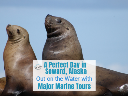 A Perfect Day in Seward, Alaska Out on the Water with Major Marine Tours #sewardalaska #cruises #alaska