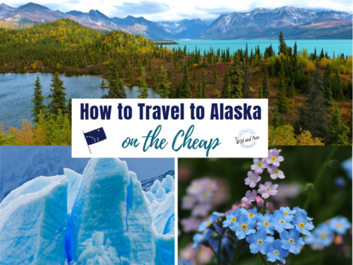 How to Save Money When Traveling to Alaska #traveltips #alaska #travelalaska #visitalaska