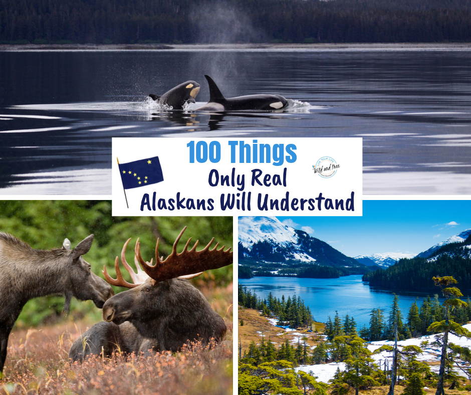 100 Things Only Real Alaskans Will Understand